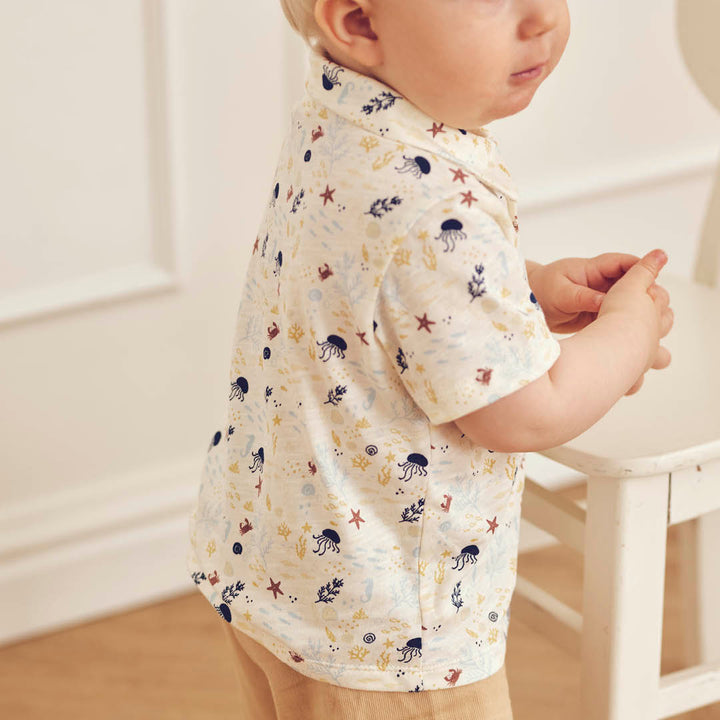 müsli Babyshirt S_S Tee Tofu/ Hemp/ Navy 690000308