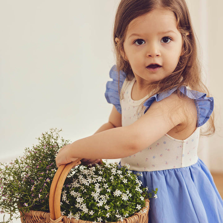 müsli Kurzarmkleid Dress Tofu/ Nectar/ shell blue 690000313