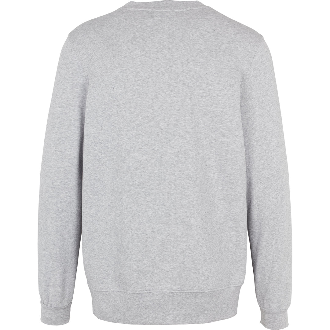 Conservandum Sweatshirt L_S Tee Pale greymarl 207670000