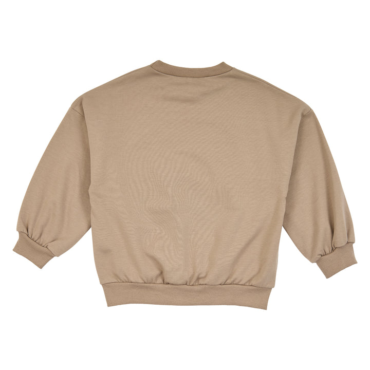 müsli Sweatshirt L_S Tee Walnut 017080802